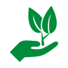 fda-approved FDA-Approved Chemicals for termites and other insect pests.