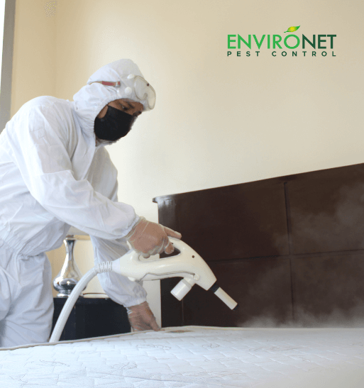 Bed Bug Control Treatment Image