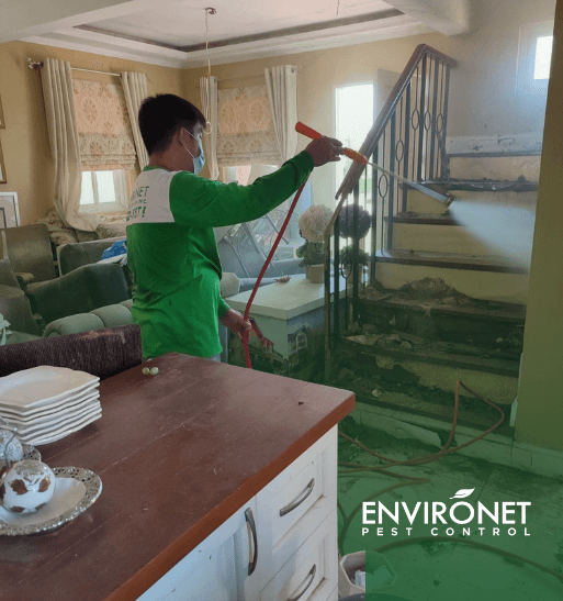 Termite Post-Construction Chemical Treatment Image