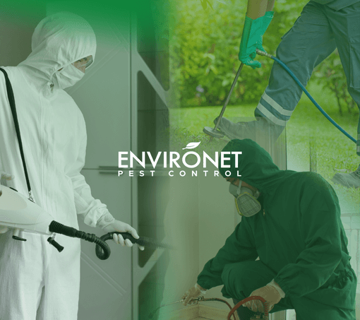 About Us Mobile Environet Pest Control Technicians doing their work.