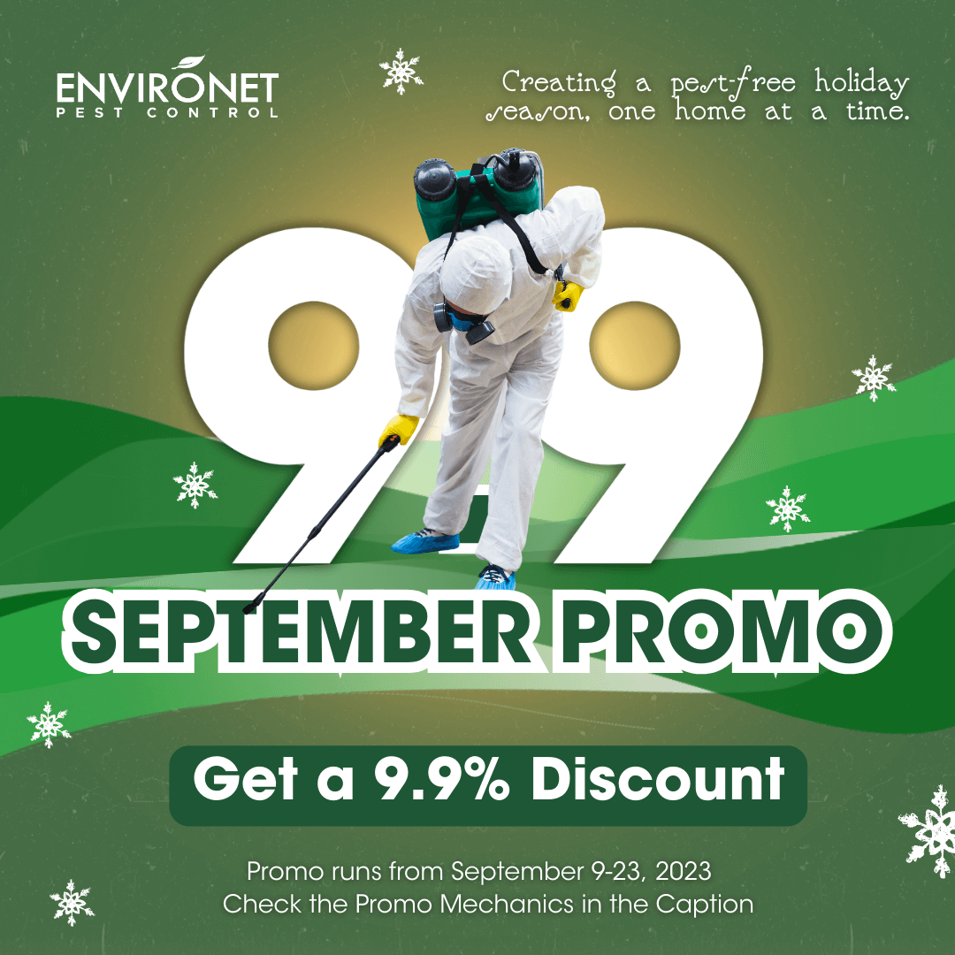 Ber Months Home Tips_September Promo a person in a white suit