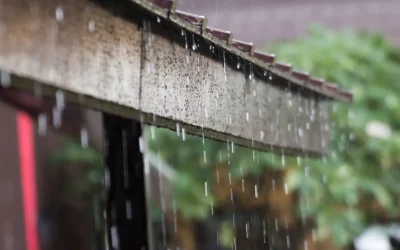 10 Rainy Season Diseases and Prevention Tips