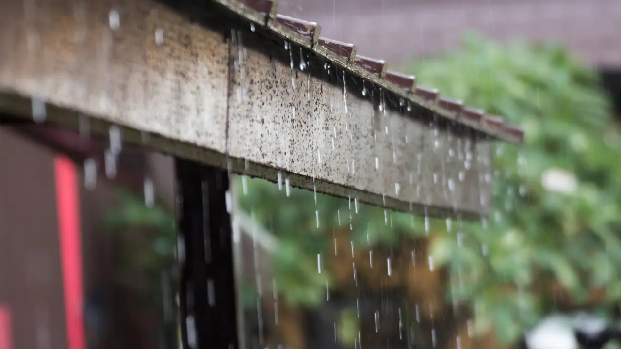 10 Rainy Season Diseases and Prevention Tips heavy rain on a wooden roof image for common diseases during rainy season or rainy season diseases