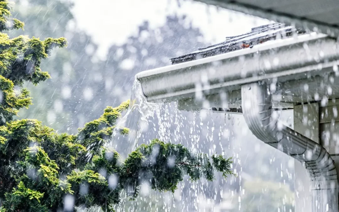 The Start of the 2024 Rainy Season in the Philippines