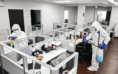 Guide to Get Rid of Bed Bugs in the Office