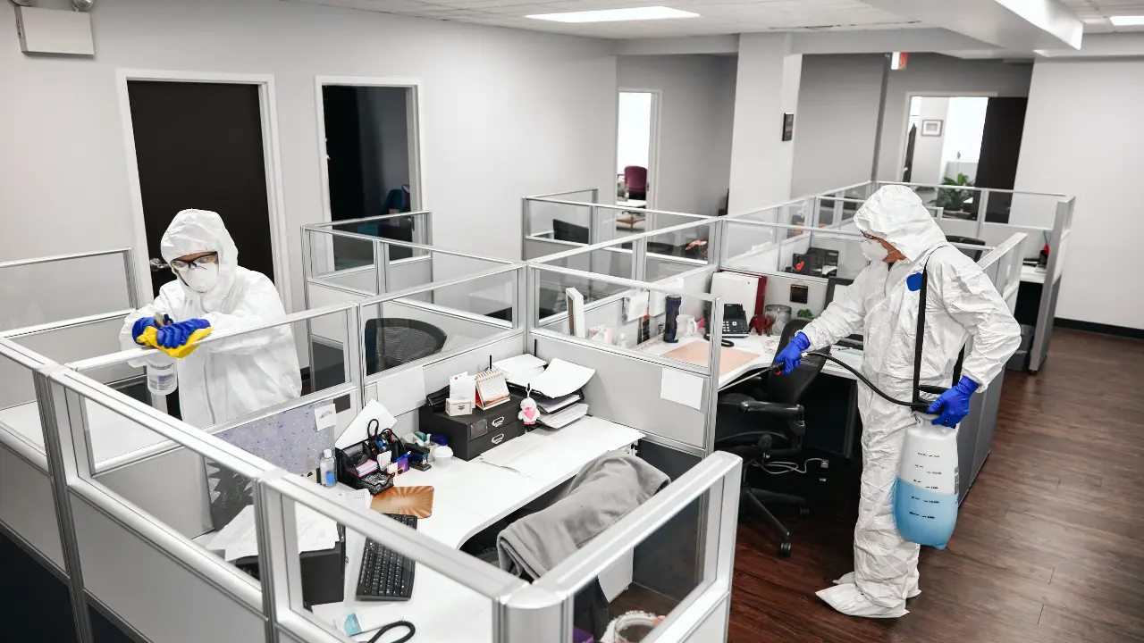 Guide to Get Rid of Bed Bugs in the Office A photo of two technicians cleaning and treating bed bugs in the office