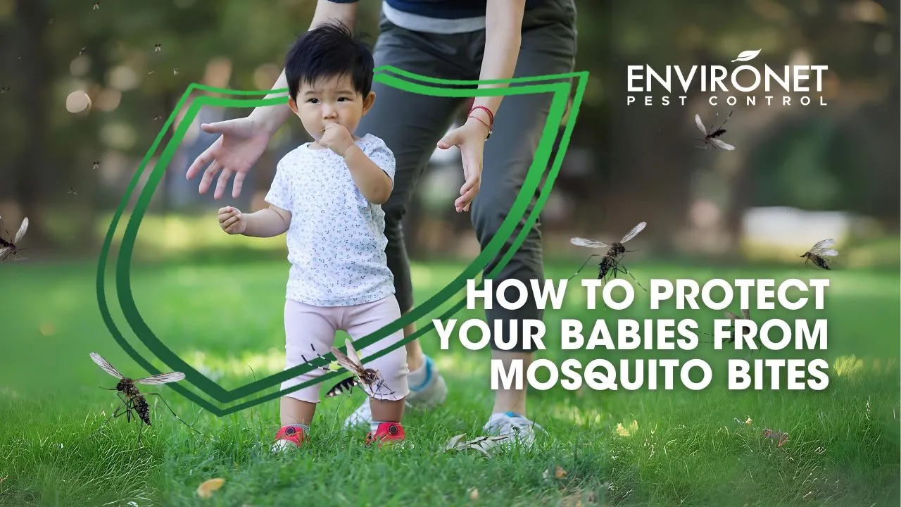 HOW TO PROTECT YOUR BABIES FROM MOSQUITO BITES A kid protected against mosquitoes for How to Protect your Baby from Mosquito Bites