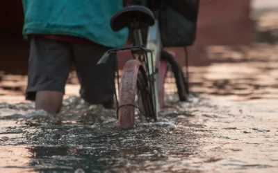 Addressing Mosquito Problems After Flooding