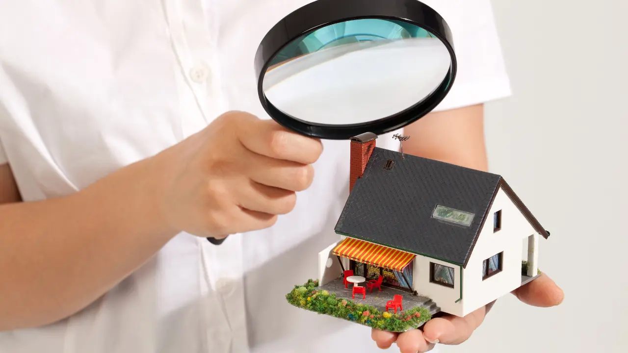 Essential Tips for Keeping Your Environment Pest-Free inspecting a miniature house