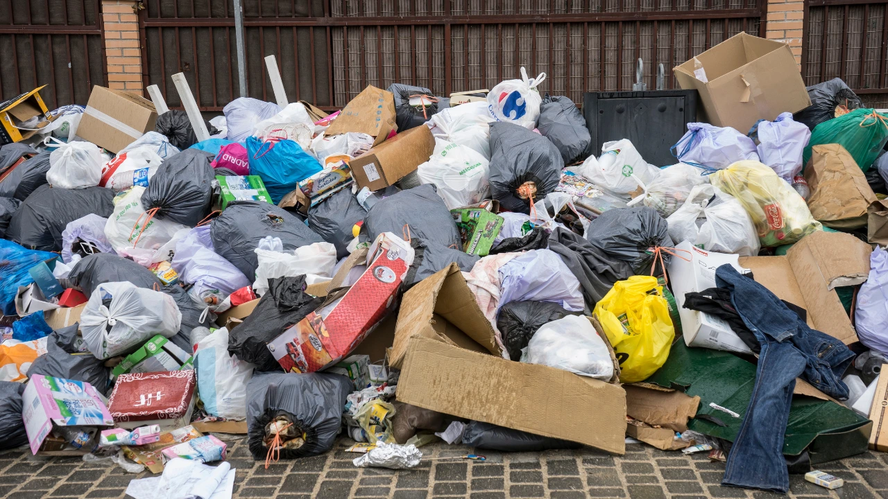 How Improper Waste Management Contributes to Pest Issues in Condominiums Waste management in Developing Countries