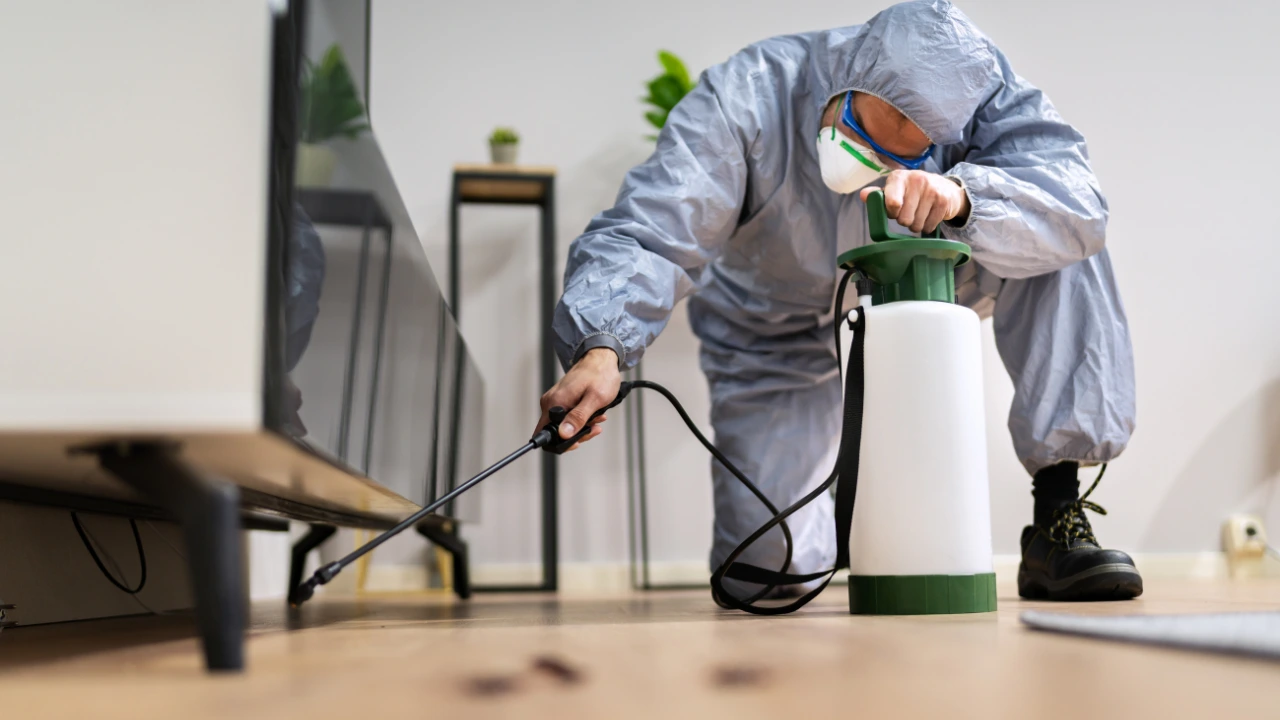 Why Regular Pest Control is Essential for a Healthy Home a pest control technician treating a home