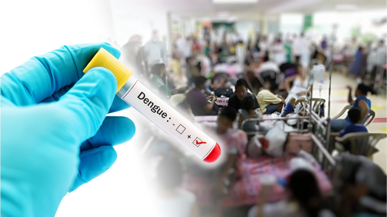 Dengue Outbreak Declared in Dasmarinas Cavite_ How to Stay Protected Dengue outbreak