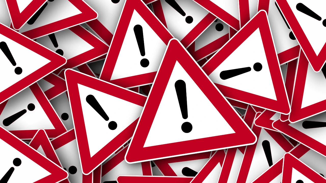 Early Warning Signs of Pest Problems You Shouldnt Ignore signs of pest problems
