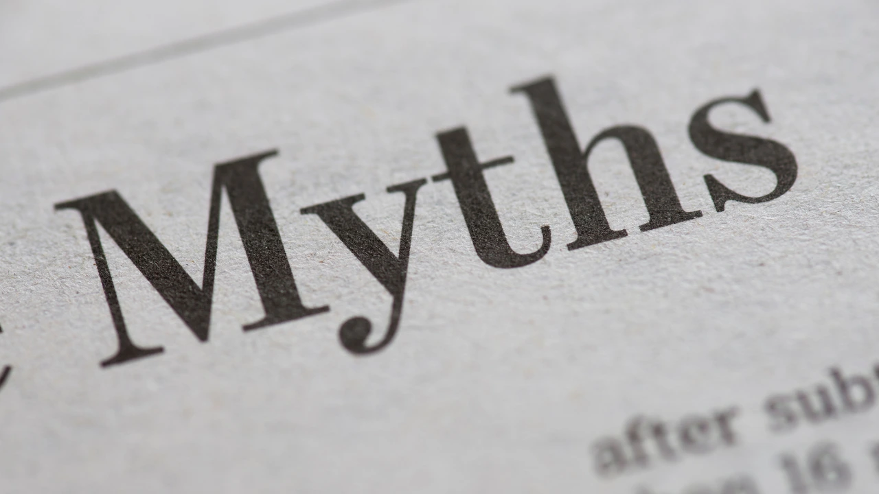 Pest Control Myths You Should Stop Believing Blog cover for pest control myths