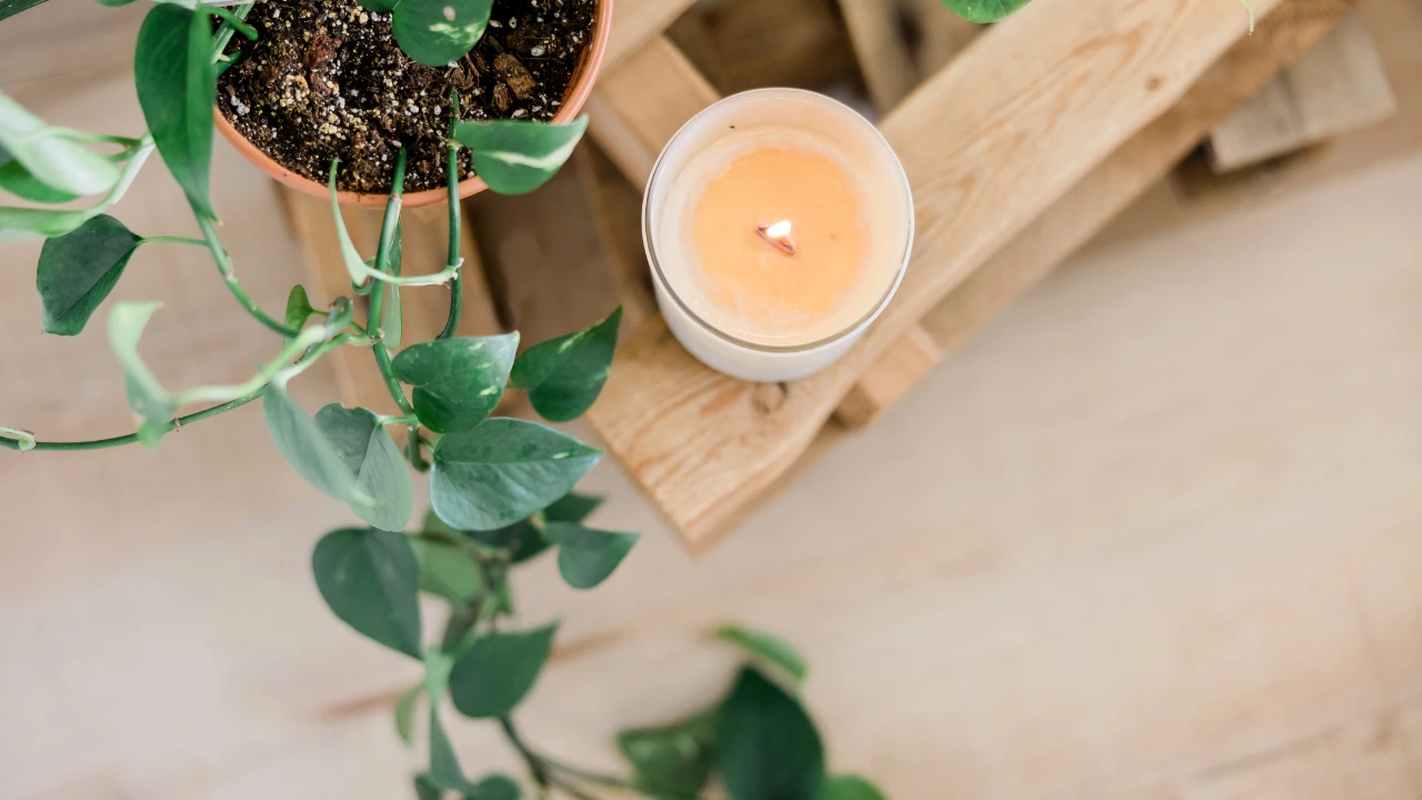 Healthy Home, Healthy You The Link Between Pest Control and Wellness A serene wooden table featuring a candle and a plant, representing the connection between pest control and well-being.