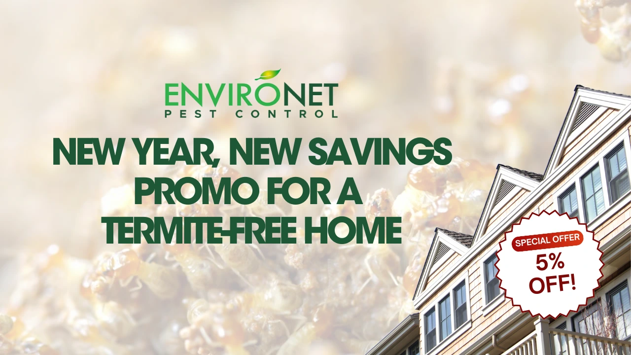 New Year, New Savings Promo for a Termite-Free Home January Promo 2025 by Environet Pest Control