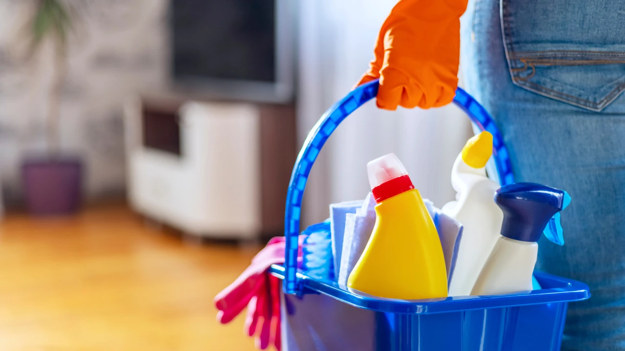 Which New Habits Can Help You Prevent Pest Problems Individual grasping a bucket of cleaning supplies, representing the importance of cleanliness in preventing pest issues.