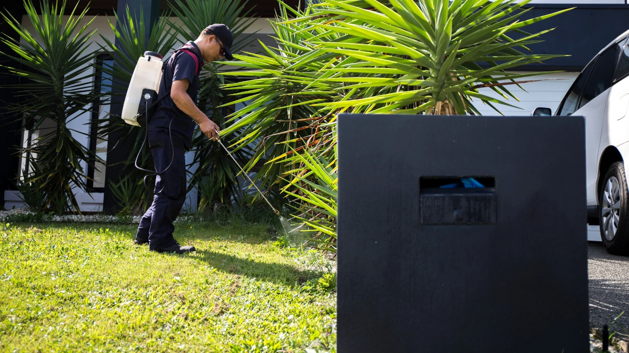 5 Essential Ways to Maintain a Pest-Free and Healthy Home A pest control technician sprays the perimeter, promoting a healthy and pest-free living environment.