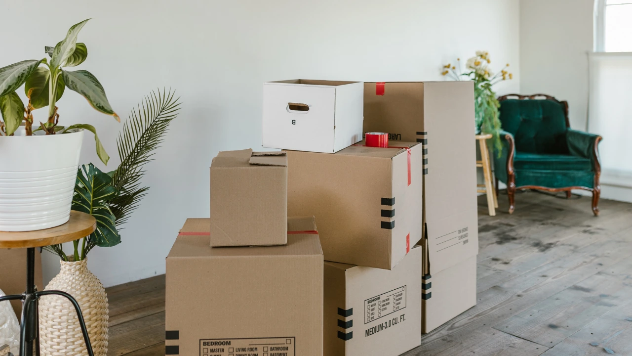 5 Ways to Pamper Your Home and Keep It Pest-Free Stacked moving boxes in a room, symbolizing organization and preparation for a pest-free home environment.