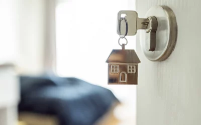 Essential Pest Control Measures for Home Rentals and Airbnb Hosts