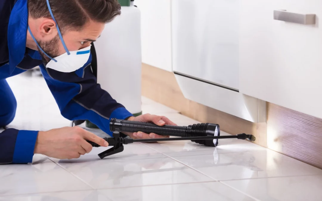 Why March Is the Perfect Time for a Pre-Summer Pest Inspection