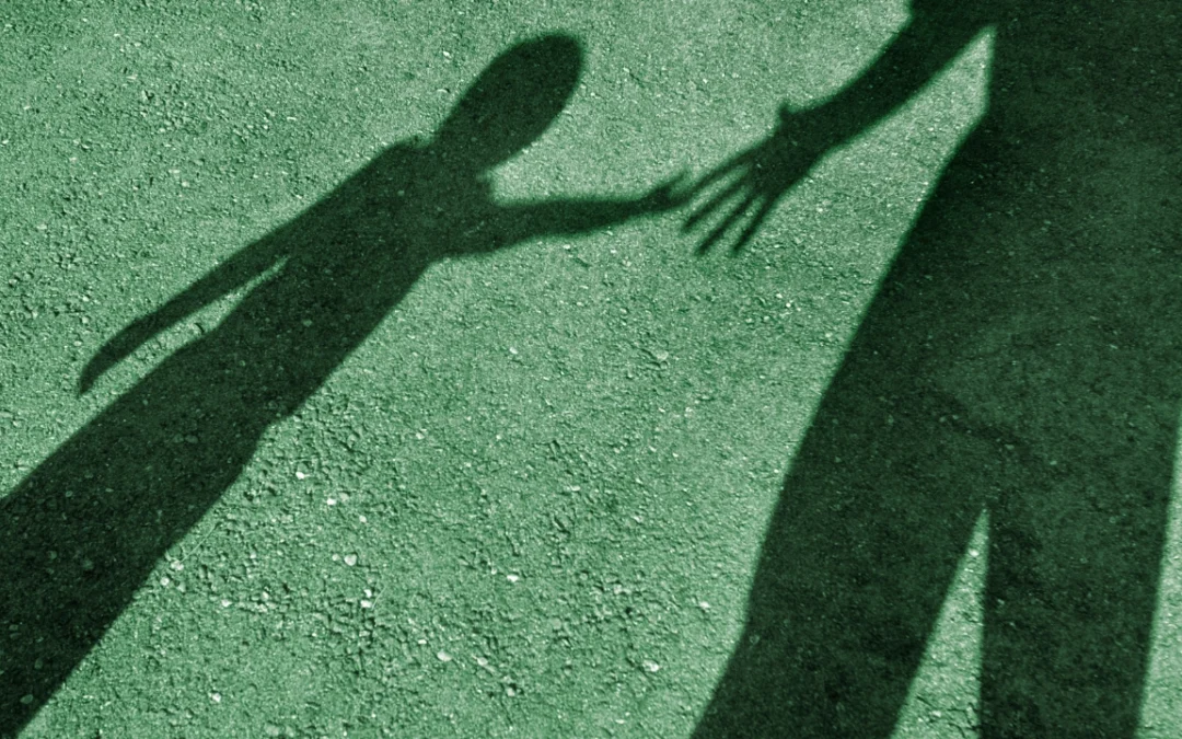 Protecting Your Health: Common Summer Pests That Carry Diseases