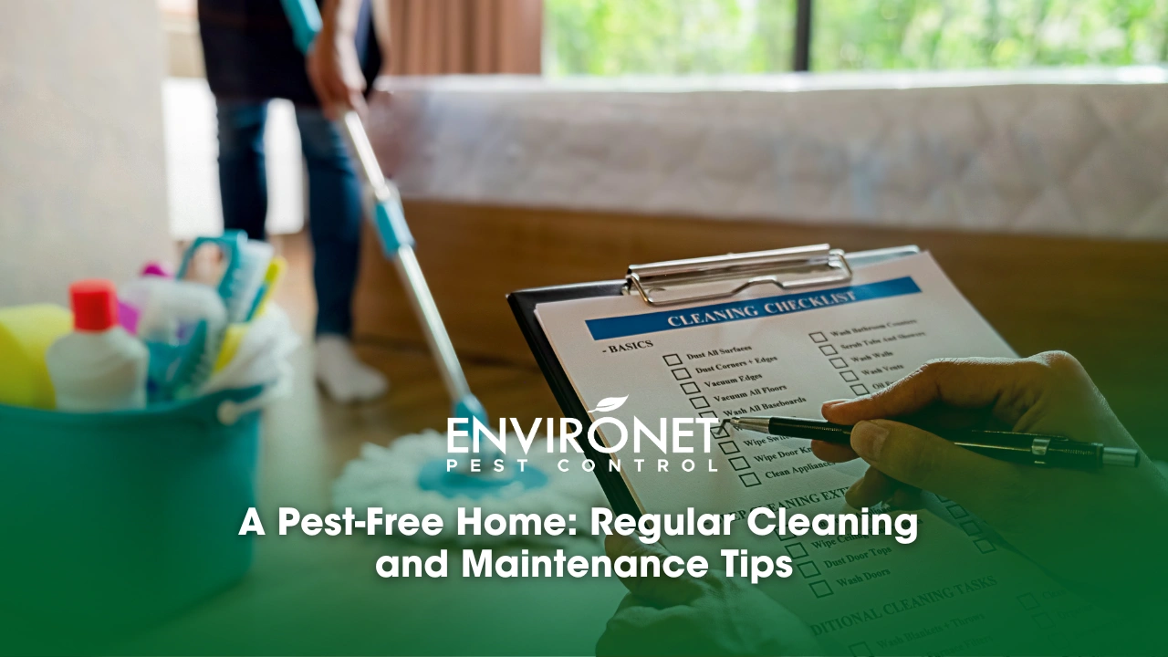 A Pest-Free Home Regular Cleaning and Maintenance Tips professional cleaning service working with cleaning materials in a room.