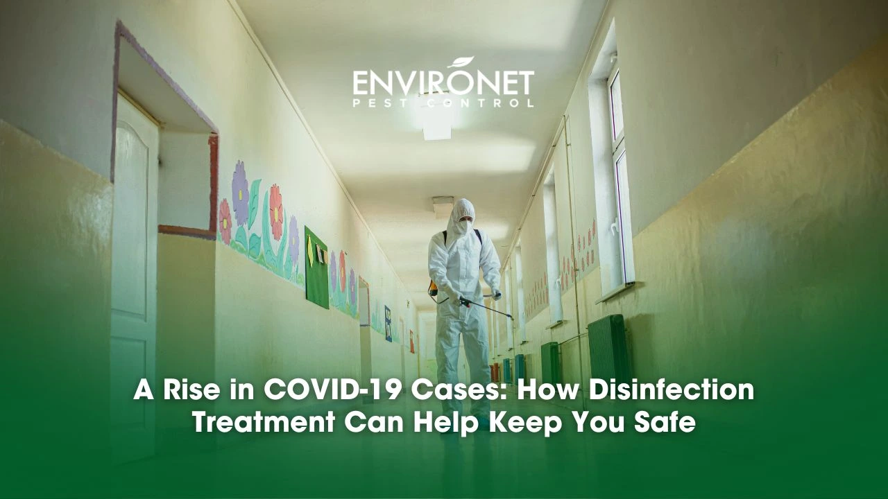 A Rise in COVID-19 Cases How Disinfection Treatment Can Help Keep You a technician disinfecting the hallways due to covid