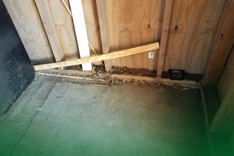 Droppings Rats and mice's droppings