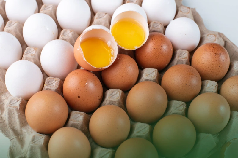 Eggs fresh eggs