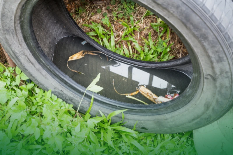 Eliminate Standing Water used tires potentially stored stagnant water
