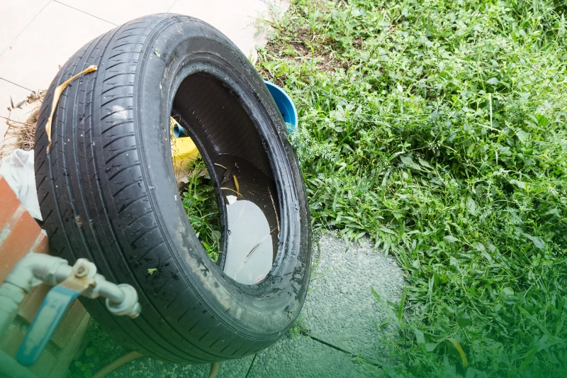 Eliminate Standing Water standing water trapped in tire and containers