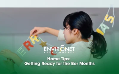 Home Tips: Getting Ready for the Ber Months
