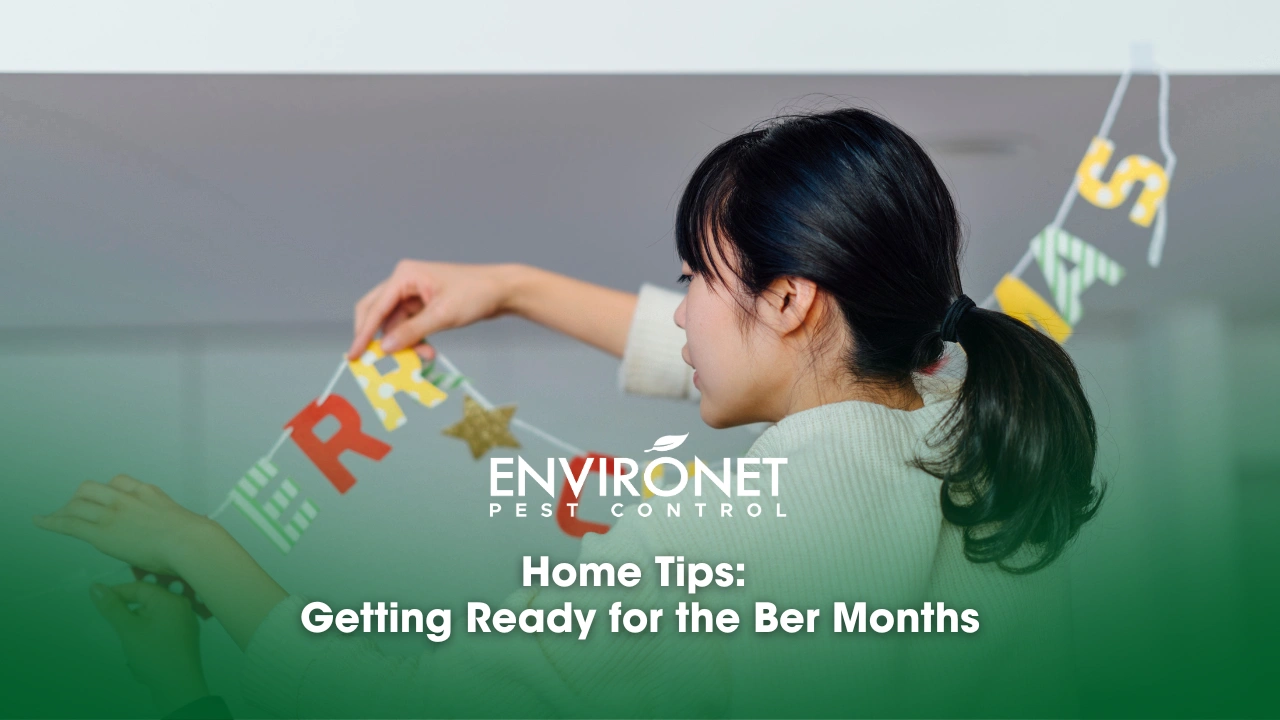 Home Tips Getting Ready for the Ber Months a person holding a garland for ber months home tips