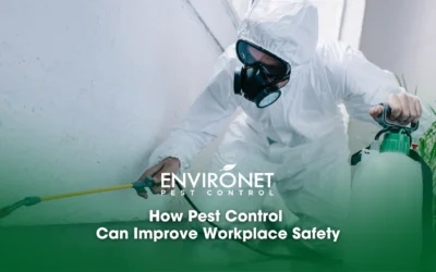 How Pest Control Can Improve Workplace Safety