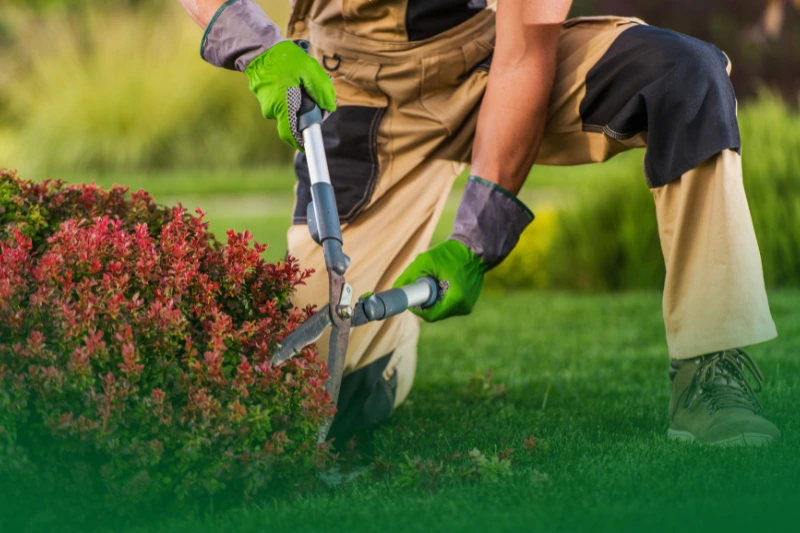 Landscaping and Exterior Maintenance a worker trimming plants