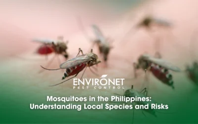 Mosquitoes in the PH Understanding Local Species and Risks