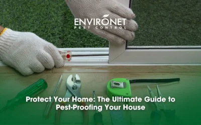 Protect Your Home: The Ultimate Guide to Pest-Proofing Your House