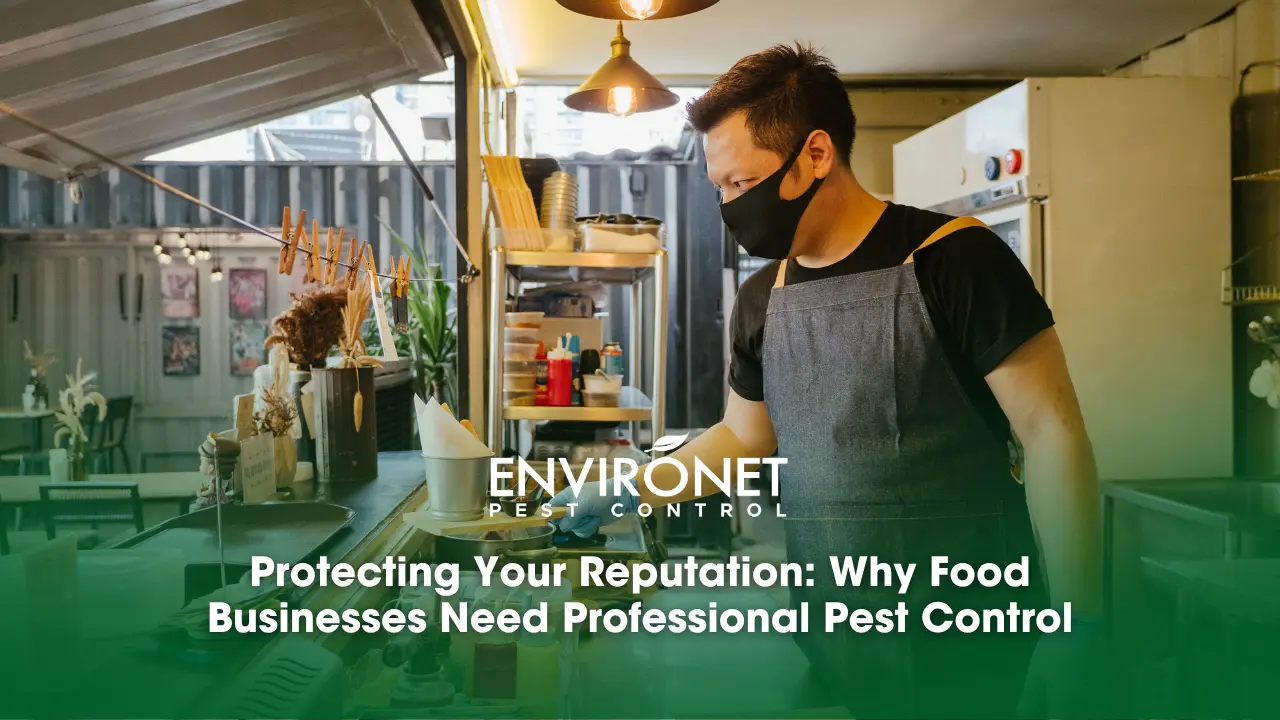 Protecting Your Reputation Why Food Businesses Need Professional Pest a cook serving food