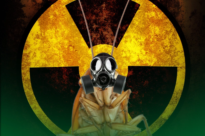 Radiation Resistant Cockroach a roach wearing a gas mask for cockroach facts