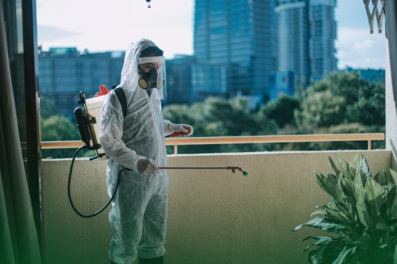 Regular Pest Control Inspections a pest control technician spraying plants