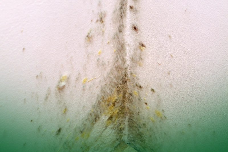 Tracks and Smear Marks smear marks on walls