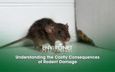 Understanding the Costly Consequences of Rodent Damage