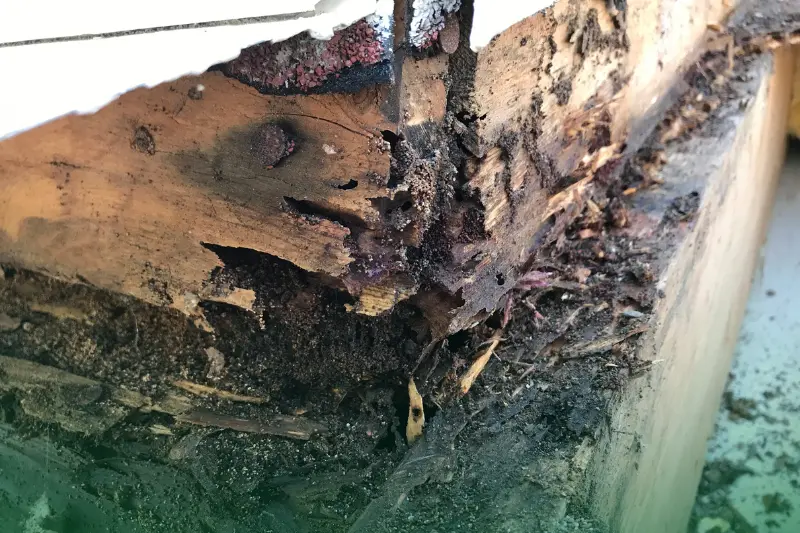 Unexplained Property Damage an unexplained property wood damage
