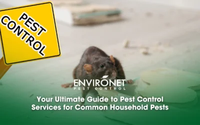 Your Ultimate Guide to Pest Control Services for Common Household Pests