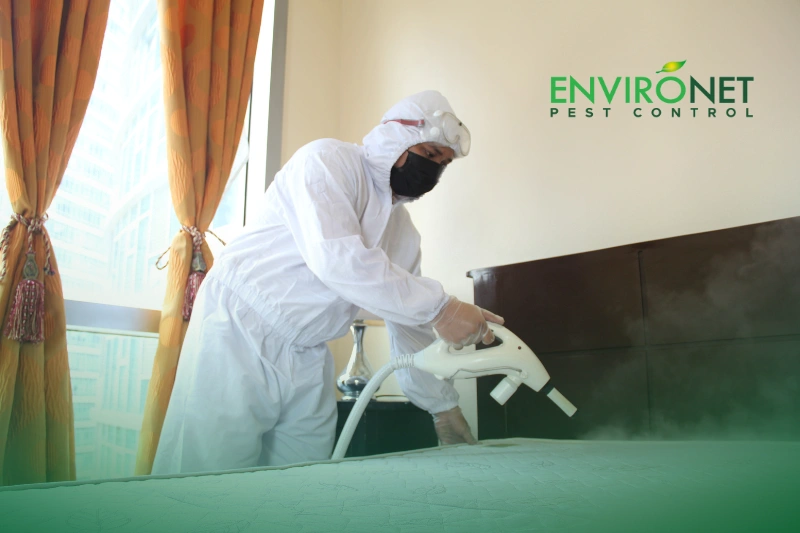 Bed Bug Control Treatment Environet Bed Bug Control Treatment