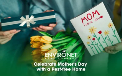 Celebrating Mother’s Day with a Pest-Free Home