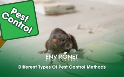 Different Types Of Pest Control Methods