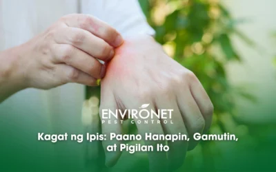 Kagat ng Ipis: Paano Hanapin, Gamutin, at Pigilan Ito