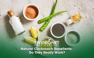 Natural Cockroach Repellents: Do They Really Work?
